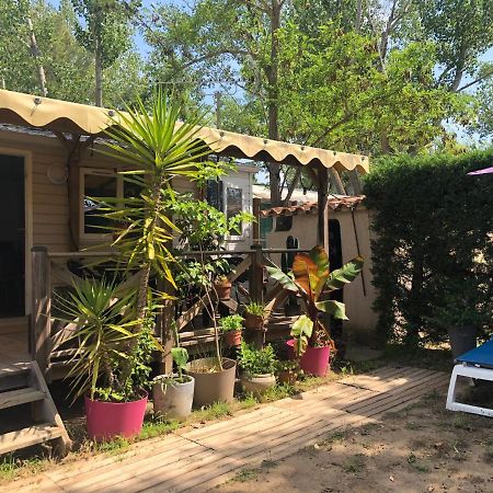 Mobil Home Climatise Camping 4* Le Grau Du Roi Les Jardins De Tivoli 外观 照片