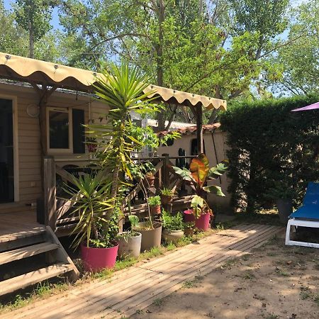 Mobil Home Climatise Camping 4* Le Grau Du Roi Les Jardins De Tivoli 外观 照片